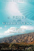 Book - A Voice in the Wilderness